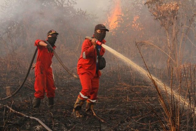 Karhutla Kalimantan Jadi Perhatian